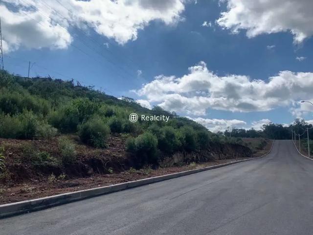 Terreno / Lote para Venda em Bento Gonçalves/RS Santo Antão