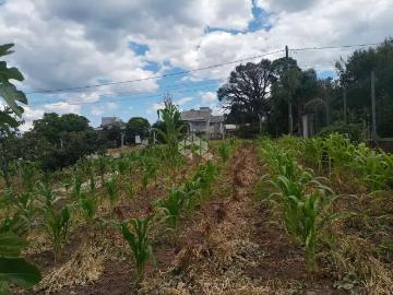 Terreno / Lote para Venda em Bento Gonçalves/RS Santo Antão