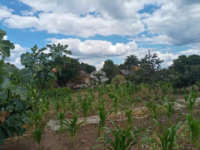 Terreno / Lote para Venda em Bento Gonçalves/RS Santo Antão