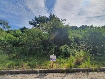 Terreno / Lote para Venda em Bento Gonçalves/RS Santo Antão