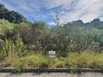 Terreno / Lote para Venda em Bento Gonçalves/RS Santo Antão