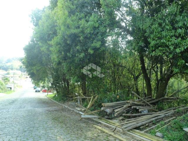 Terreno / Lote para Venda em Bento Gonçalves/RS Santo Antão