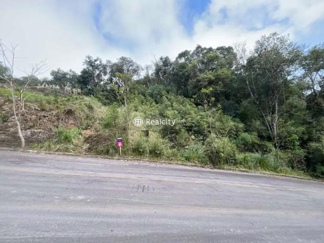 Terreno / Lote para Venda em Bento Gonçalves/RS Santo Antão