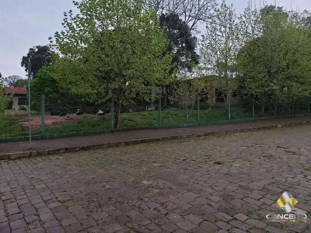 Terreno / Lote para Venda em Bento Gonçalves/RS Santo Antão