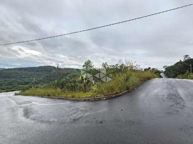 Terreno / Lote para Venda em Bento Gonçalves/RS Santo Antão