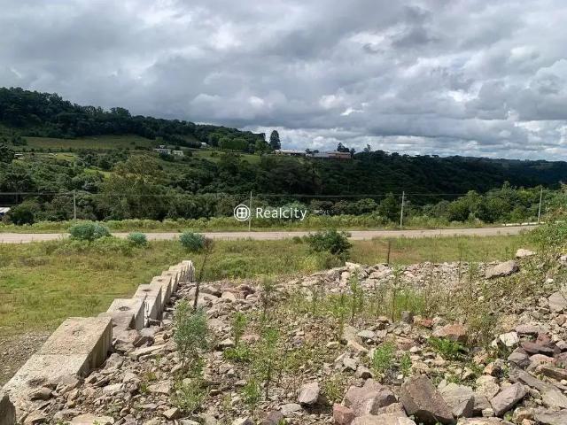 Terreno / Lote para Venda em Bento Gonçalves/RS Salgado