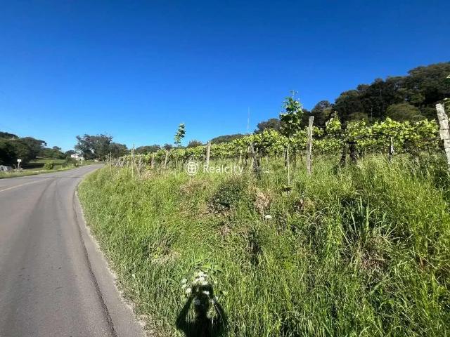 Terreno / Lote para Venda em Bento Gonçalves/RS Salgado