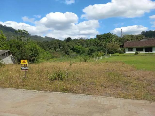 Terreno / Lote para Venda em Benedito Novo/SC Centro