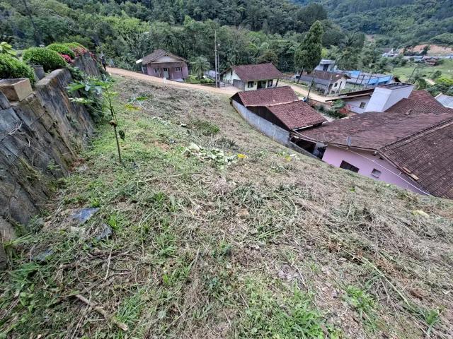 Terreno / Lote para Venda em Benedito Novo/SC Centro