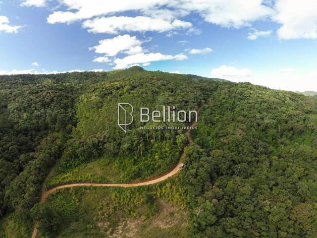 Terreno / Lote para Venda em Benedito Novo/SC Centro