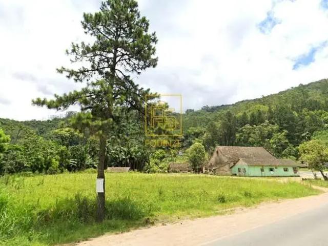 Terreno / Lote para Venda em Benedito Novo/SC Centro