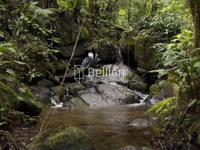 Terreno / Lote para Venda em Benedito Novo/SC Centro