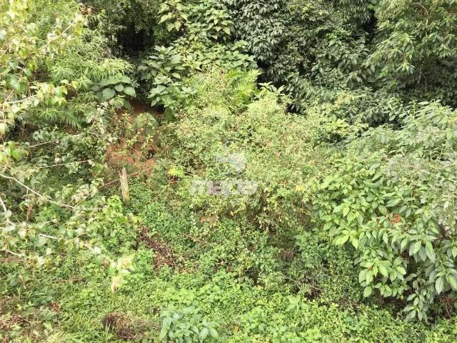 Terreno / Lote para Venda em Benedito Novo/SC Alto Benedito
