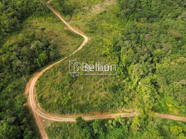 Terreno / Lote para Venda em Benedito Novo/SC Santa Maria