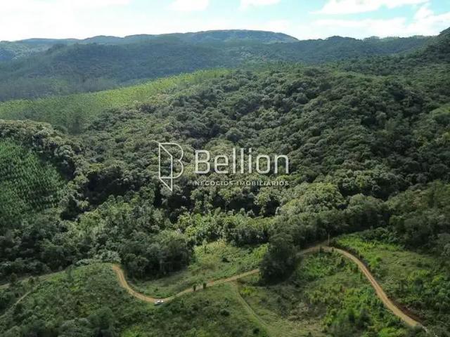 Terreno / Lote para Venda em Benedito Novo/SC Santa Maria