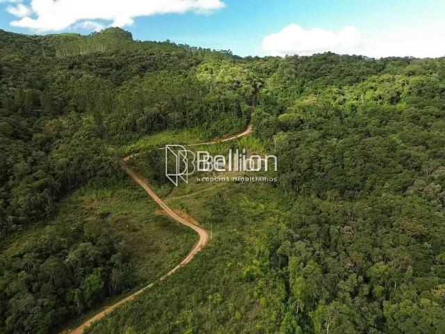 Terreno / Lote para Venda em Benedito Novo/SC Santa Maria