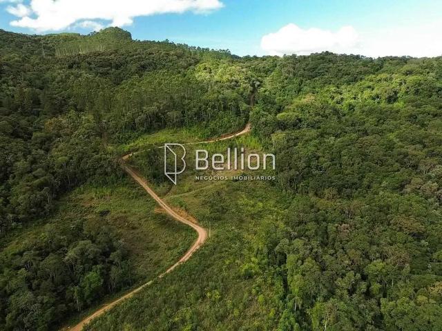 Terreno / Lote para Venda em Benedito Novo/SC Santa Maria