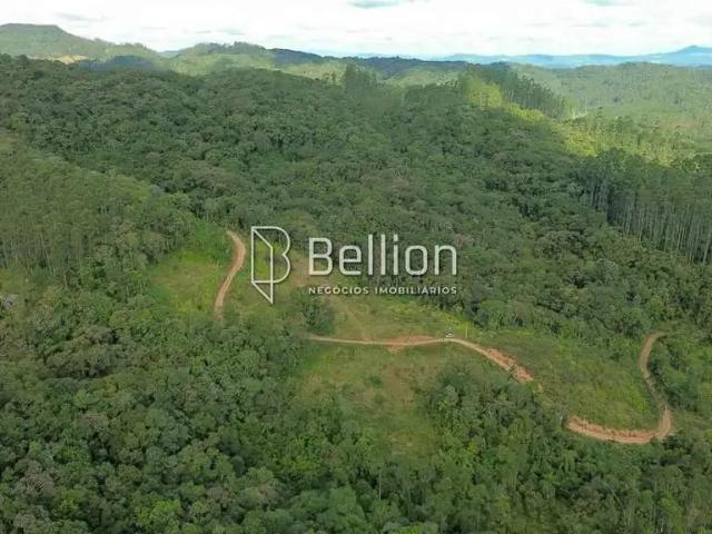 Terreno / Lote para Venda em Benedito Novo/SC Santa Maria