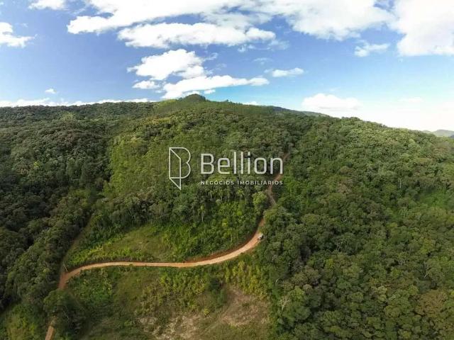 Terreno / Lote para Venda em Benedito Novo/SC Santa Maria