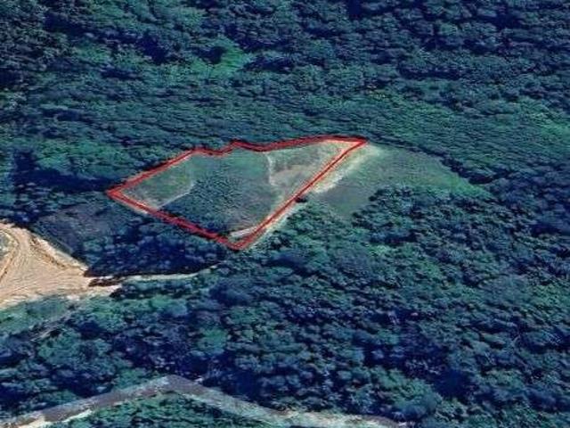 Terreno / Lote para Venda em Benedito Novo/SC Ribeirão Prochnow