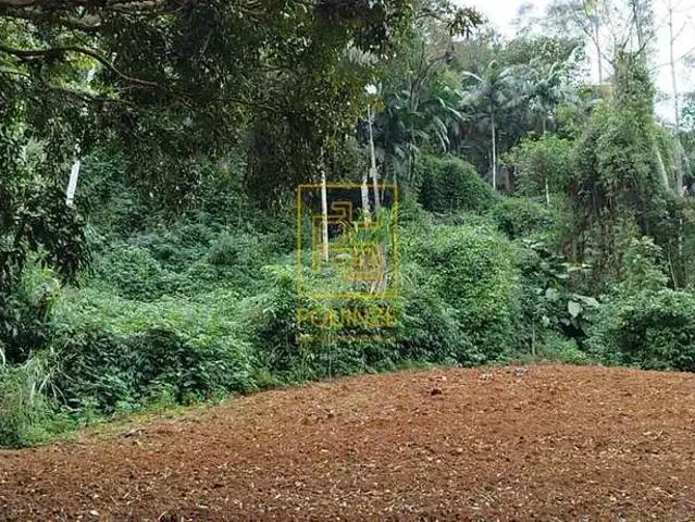 Terreno / Lote para Venda em Benedito Novo/SC Rio Tigre