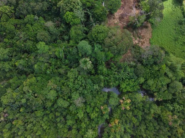 Terreno / Lote para Venda em Benevides/PA Centro
