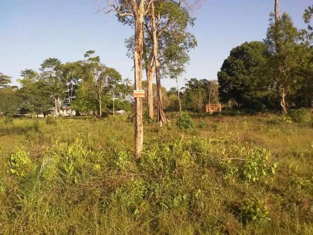 Terreno / Lote para Venda em Benevides/PA Paricatuba