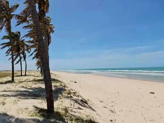 Terreno / Lote para Venda em Beberibe/CE Morro Branco