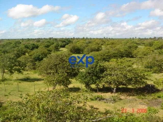 Terreno / Lote para Venda em Beberibe/CE Parajuru