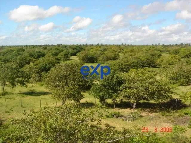Terreno / Lote para Venda em Beberibe/CE Parajuru
