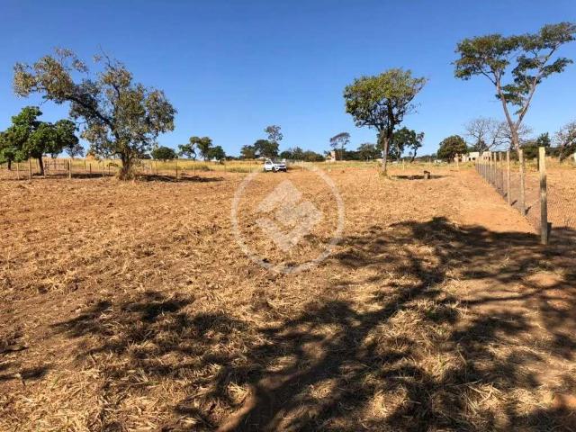 Terreno / Lote para Venda em Bela Vista de Goiás/GO Centro