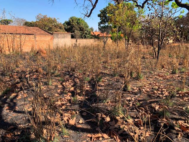 Terreno / Lote para Venda em Bela Vista de Goiás/GO Jardim Barcelona