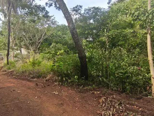 Terreno / Lote para Venda em Bela Vista de Goiás/GO Jardim Barcelona