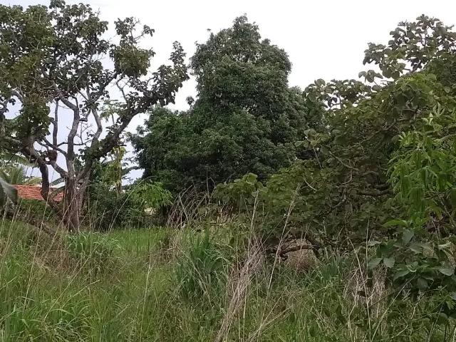 Terreno / Lote para Venda em Bela Vista de Goiás/GO Parque Las Vegas