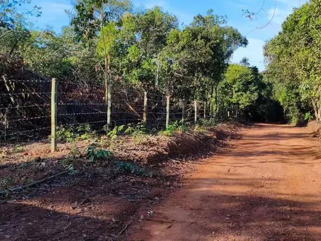 Terreno / Lote para Venda em Bela Vista de Goiás/GO Zona Rural