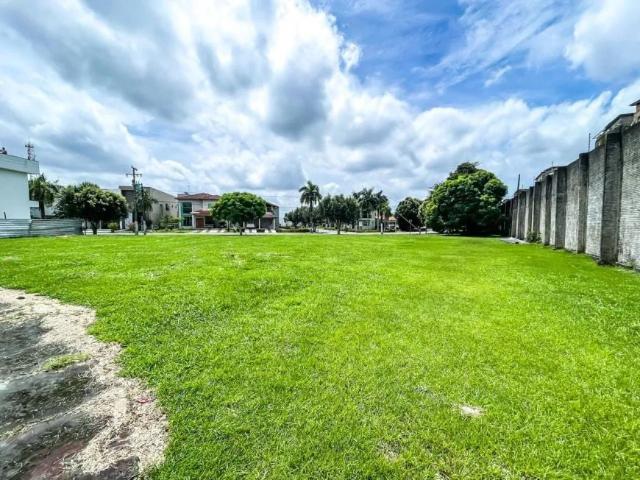 Terreno / Lote para Venda em Belém/PA Parque Verde