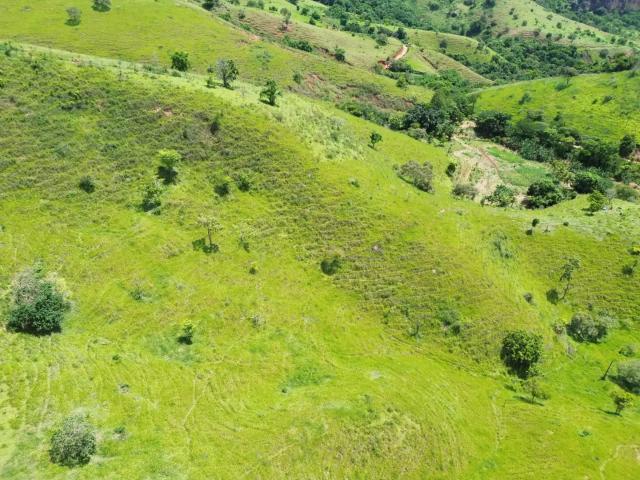 Terreno / Lote para Venda em Belo Oriente/MG Zona Rural