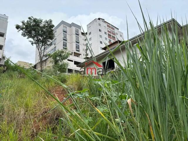 Terreno / Lote para Venda em Belo Horizonte/MG Manacás