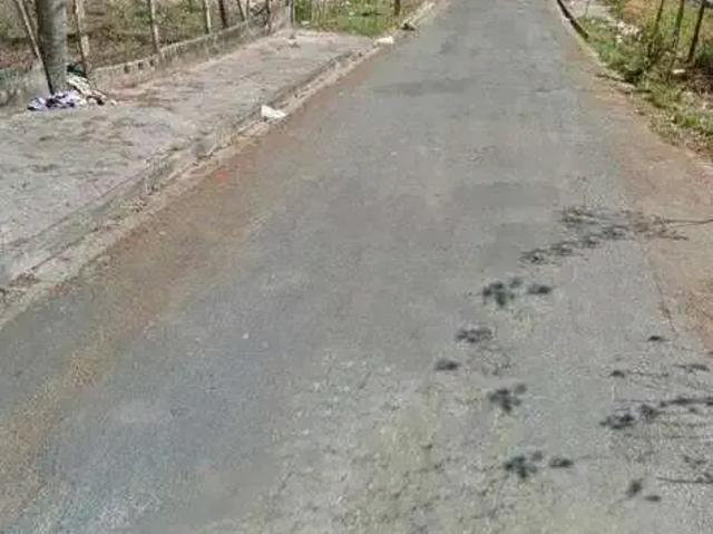 Terreno / Lote para Venda em Belo Horizonte/MG Manacás