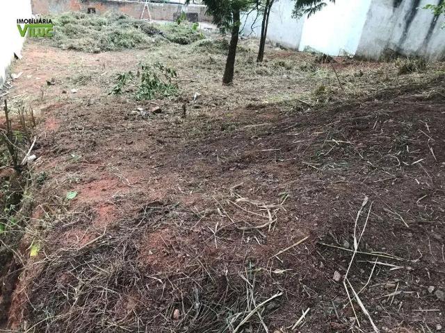 Terreno / Lote para Venda em Belo Horizonte/MG Manacás