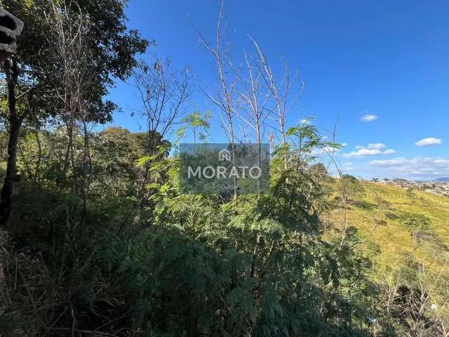 Terreno / Lote para Venda em Belo Horizonte/MG Manacás