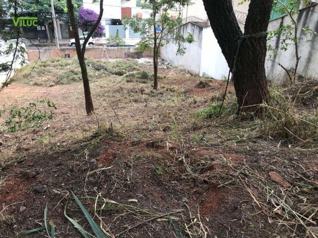 Terreno / Lote para Venda em Belo Horizonte/MG Manacás