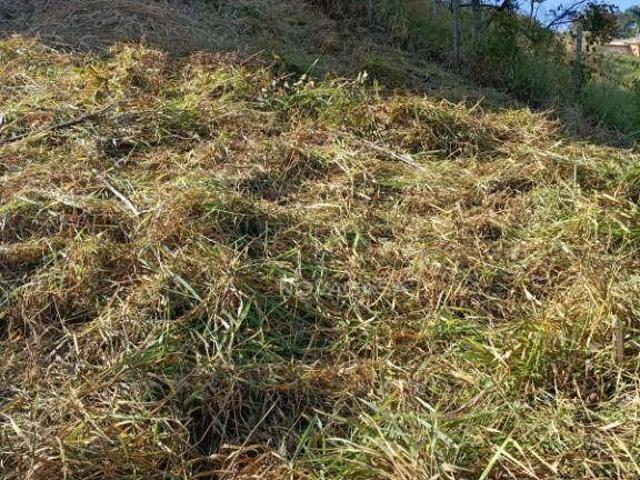 Terreno / Lote para Venda em Belo Horizonte/MG Manacás