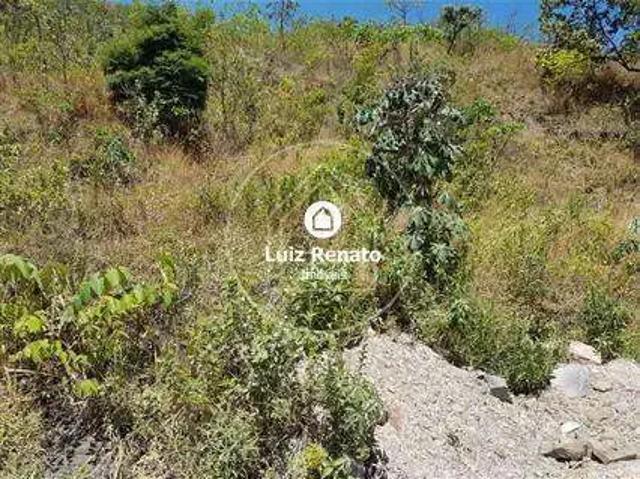 Terreno / Lote para Venda em Belo Horizonte/MG Mangabeiras