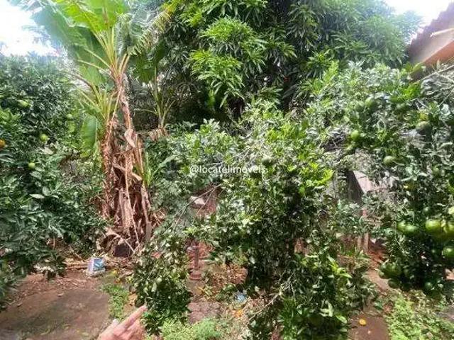 Terreno / Lote para Venda em Belo Horizonte/MG Milionários