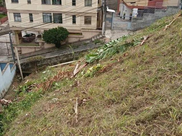 Terreno / Lote para Venda em Belo Horizonte/MG Nova Floresta 1 Quartos