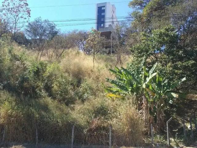 Terreno / Lote para Venda em Belo Horizonte/MG Ouro Preto