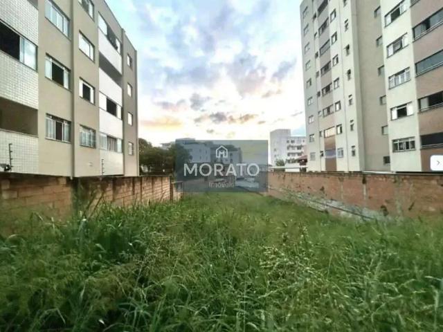 Terreno / Lote para Venda em Belo Horizonte/MG Ouro Preto