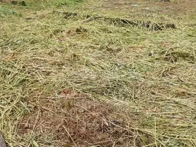 Terreno / Lote para Venda em Belo Horizonte/MG Ouro Preto