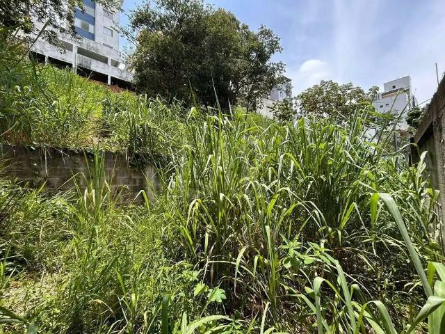 Terreno / Lote para Venda em Belo Horizonte/MG Ouro Preto